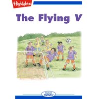 The Flying V - Sue Corbett