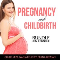 Pregnancy and Childbirth Bundle, 3 in 1 Bundle: Pregnancy Brain, Pregnancy Food and Expecting Better - Fran Lakeman, Chloe Mize, Nadia Felicity