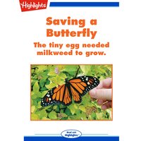 Saving a Butterfly: The tiny egg needed milkweed to grow. - Sara Matson