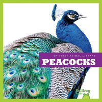 Peacocks - Cari Meister