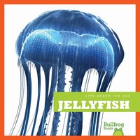 Jellyfish - Cari Meister