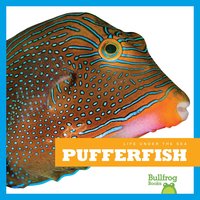 Pufferfish - Mari Schuh