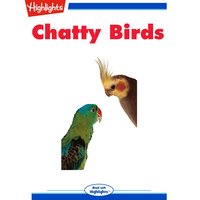 Chatty Birds: Read with Highlights - Stephanie Logue