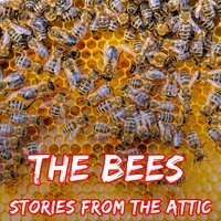 The Bees - Stories From The Attic