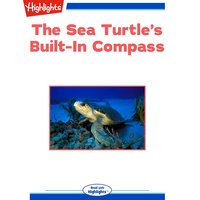 The Sea Turtle's Built-In Compass - Sudipta Bardhan