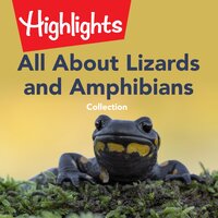 All About Lizards and Amphibians Collection - Highlights for Children