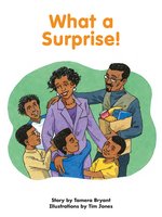 What a Surprise! - Tamera Bryant