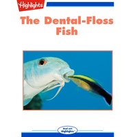The Dental-Floss Fish - Craig Stevens