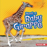 Meet a Baby Giraffe - Samantha S. Bell