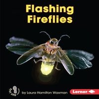 Flashing Fireflies - Laura Hamilton Waxman