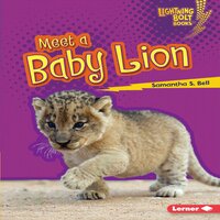 Meet a Baby Lion - Samantha S. Bell