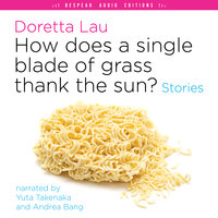 How Does a Single Blade of Grass Thank the Sun?: Stories - Doretta Lau