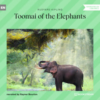 Toomai of the Elephants - Rudyard Kipling
