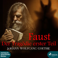 Faust - Der Tragödie erster Teil - Johann Wolfgang von Goethe