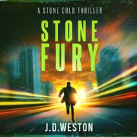 Stone Fury: A Stone Cold Thriller - J.D.Weston