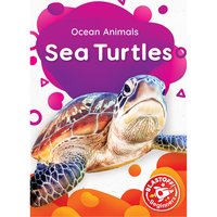 Sea Turtles - Christina Leaf