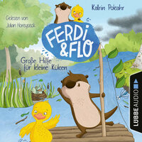 Ferdi & Flo: Große Hilfe für kleine Küken - Katrin Pokahr