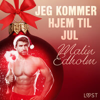 21. december: Jeg kommer hjem til jul – en erotisk julekalender - Malin Edholm