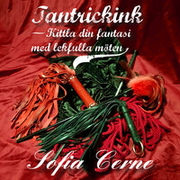 Tantrickink - Kittla din fantasi med lekfulla möten - Sofia Cerne