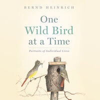 One Wild Bird at a Time: Portraits of Individual Lives - Bernd Heinrich