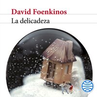 La delicadeza - David Foenkinos