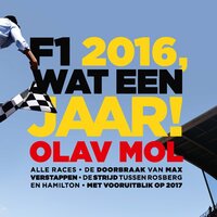 F1 2016, wat een jaar! - Olav Mol