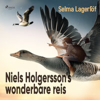 Niels Holgersson's wonderbare reis - Selma Lagerlöf