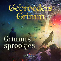 Grimm's sprookjes - Gebroeders Grimm, De Gebroeders Grimm