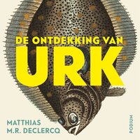 De ontdekking van Urk - Matthias M.R. Declercq