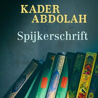 Spijkerschrift: notities van Aga Akbar - Kader Abdolah