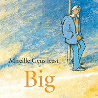 Big - Mireille Geus