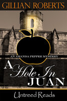 A Hole in Juan - Gillian Roberts