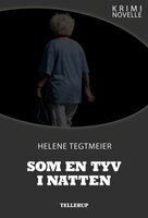 Kriminovelle - Som en tyv i natten - Helene Tegtmeier