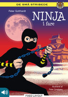 Ninja i fare - Peter Gotthardt