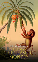 The Story of The Teasing Monkey - Helen Bannerman