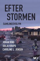 Efter stormen - Caroline L. Jensen, Johan Ring, Solja Krapu