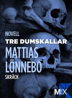 Tre dumskallar - Mattias Lönnebo