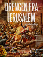 Drengen fra Jerusalem og andre fortællinger - P. Falk Rønne, Ada Hensel