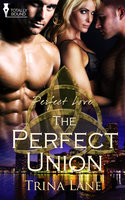 The Perfect Union - Trina Lane