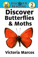 Discover Butterflies & Moths - Victoria Marcos