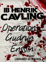 Operation Gudrun Ensslin - Ib Henrik Cavling