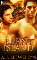 Burnt Island - A.J. Llewellyn