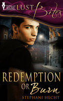 Redemption or Burn - Stephani Hecht