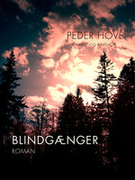 Blindgænger - Peder Hove