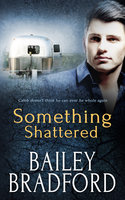Something Shattered - Bailey Bradford