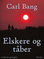 Elskere og tåber - Carl Bang