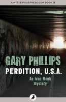 Perdition, U.S.A. - Gary Phillips