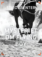 Mysteriet om Flying Boy - Stieg Trenter