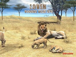 Løven - Steven Kinch