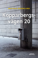 Kopparbergsvägen 20 - Mathias Rosenlund